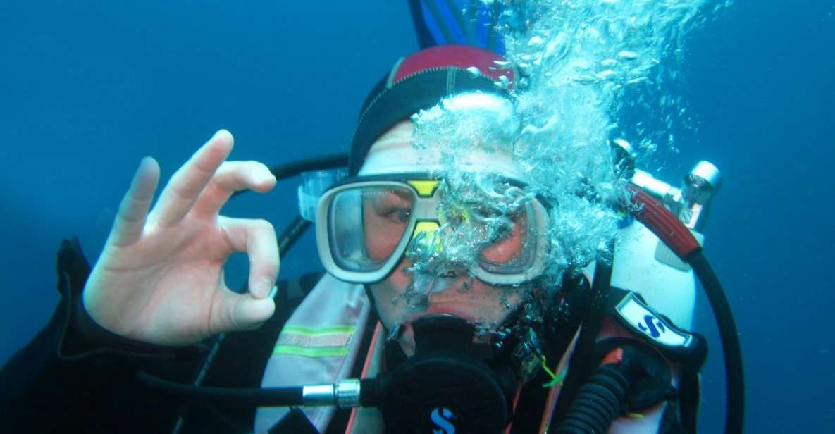 Buy - Discovery Dive - Key Points