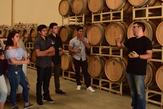 By the Hour Private Driver in Valle and Ensenada - The Sum Up: Is It the Right Choice for You?