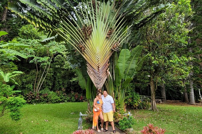 Byodo Temple and Waimea Botanical Garden Tour - Guest Reviews and Experiences