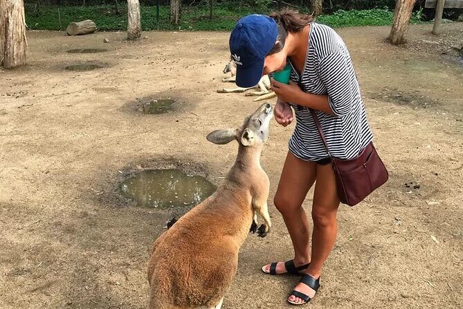 Byron Bay and Currumbin Wildlife Sanctuary Day Tour - Introduction to the Tour Experience