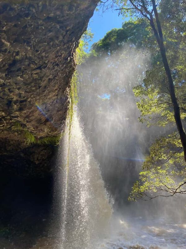 Byron Bay: Behind The Bay Waterfalls & Hidden Gems Day Tour - The Sum Up