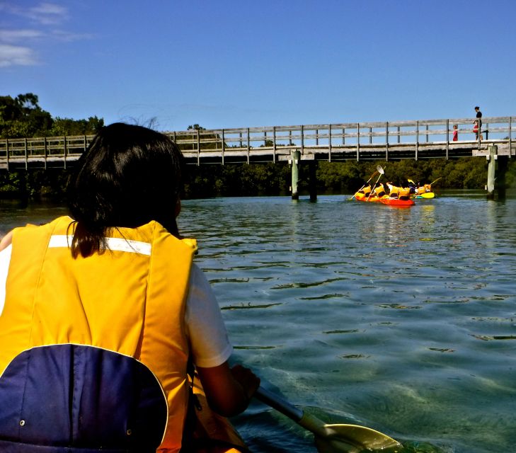 Byron Bay: Brunswick River Scenic Kayak Tour - Key Points