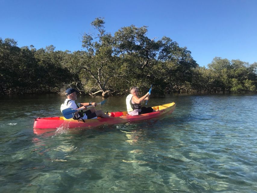 Byron Bay: Brunswick River Scenic Kayak Tour - Experience