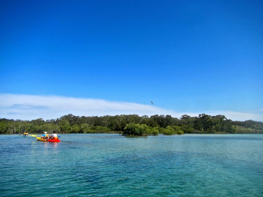 Byron Bay: Brunswick River Scenic Kayak Tour - Reviews