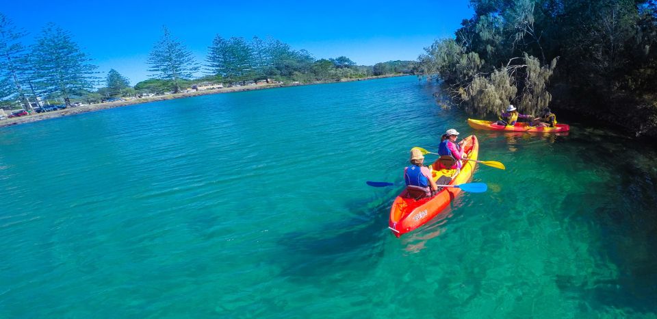 Byron Bay: Brunswick River Scenic Kayak Tour - Frequently Asked Questions