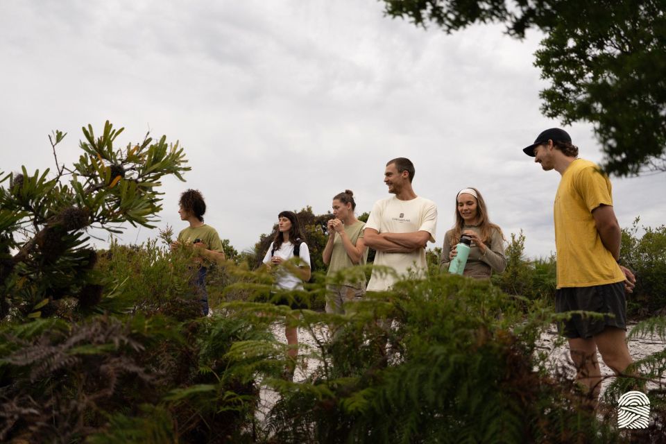 Byron Bay: Coastal Nature and Waterfall Experience - Key Points