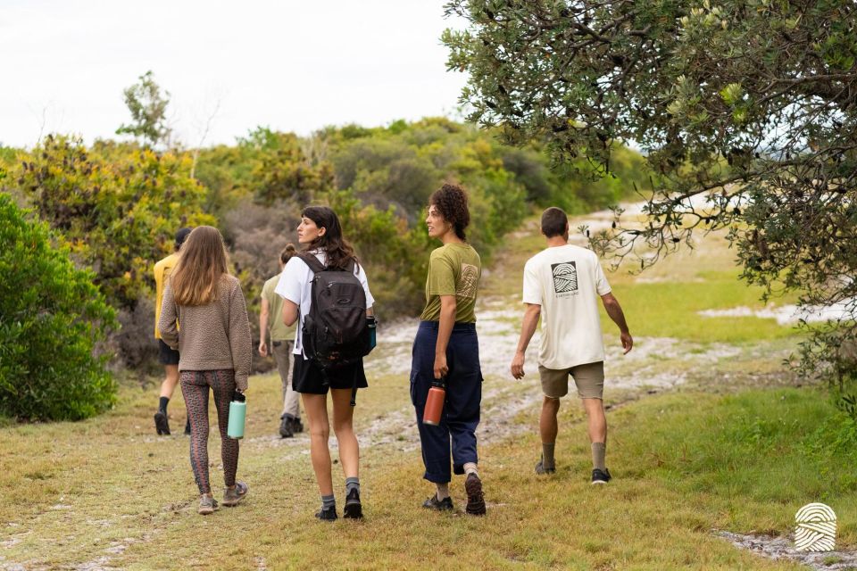 Byron Bay: Coastal Nature and Waterfall Experience - Experience Highlights
