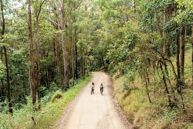 Byron Bay Discovery Day from Gold Coast - Who Would Love This Tour?