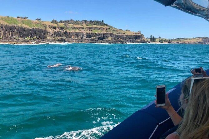 Byron Bay Dolphin Tour - Ocean Safari - Final Thoughts