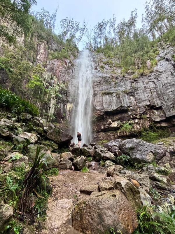 Byron Bay: Glowworms, Waterfalls & Rainforest Experience - Pricing and Value for Money