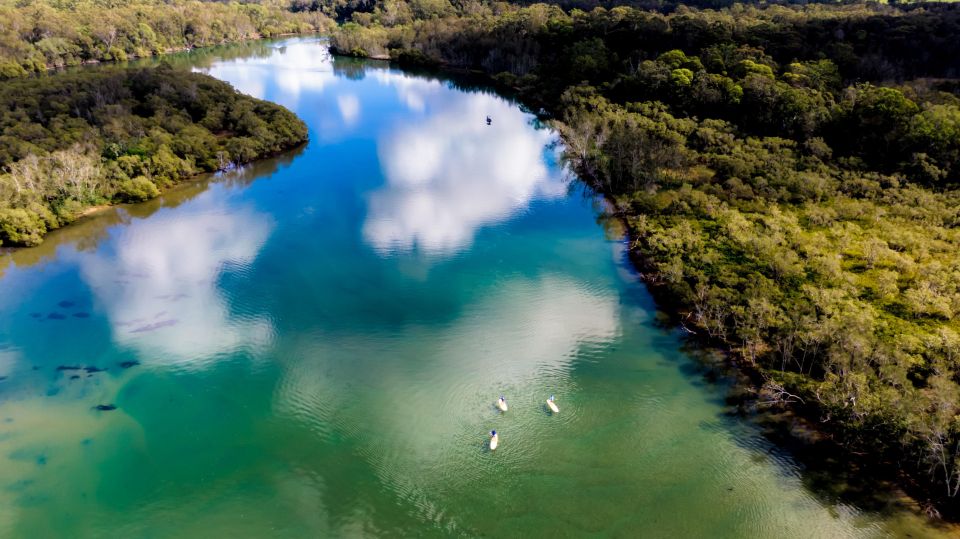 Byron Bay: Group 2.5 Hour Stand-Up Paddle Board Tour - Highlights