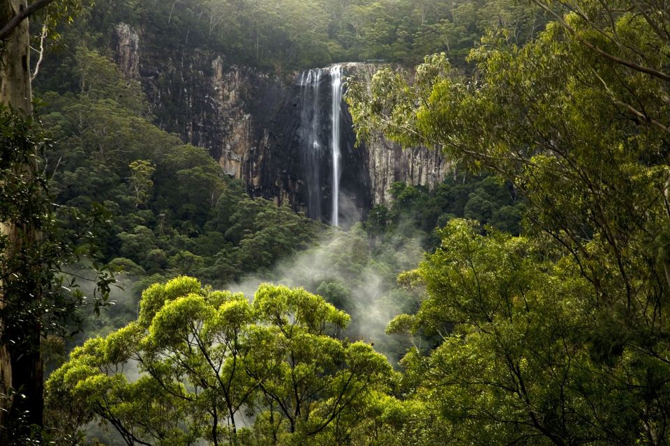 Byron Bay: Hinterland Magic and Glow-Worm Experience - Important Info