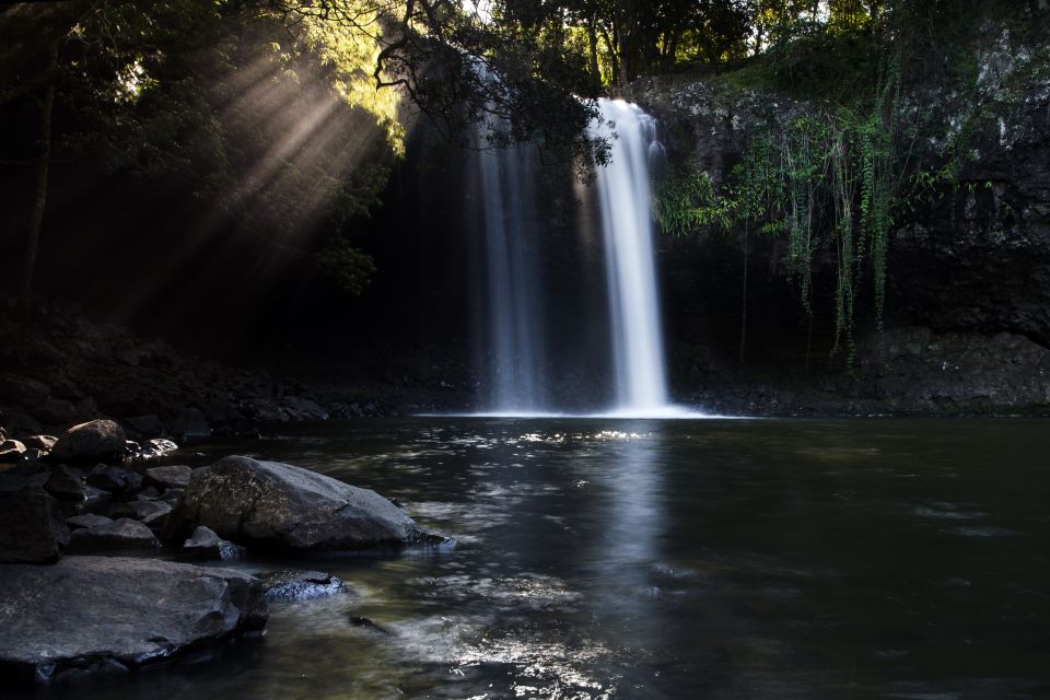 Byron Bay: Hinterland Magic and Glow-Worm Experience - Frequently Asked Questions