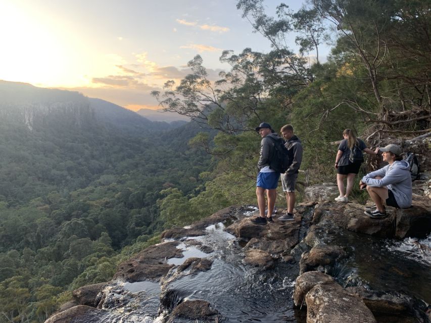 Byron Bay: Hinterland Magic and Glow-Worm Experience - Recap