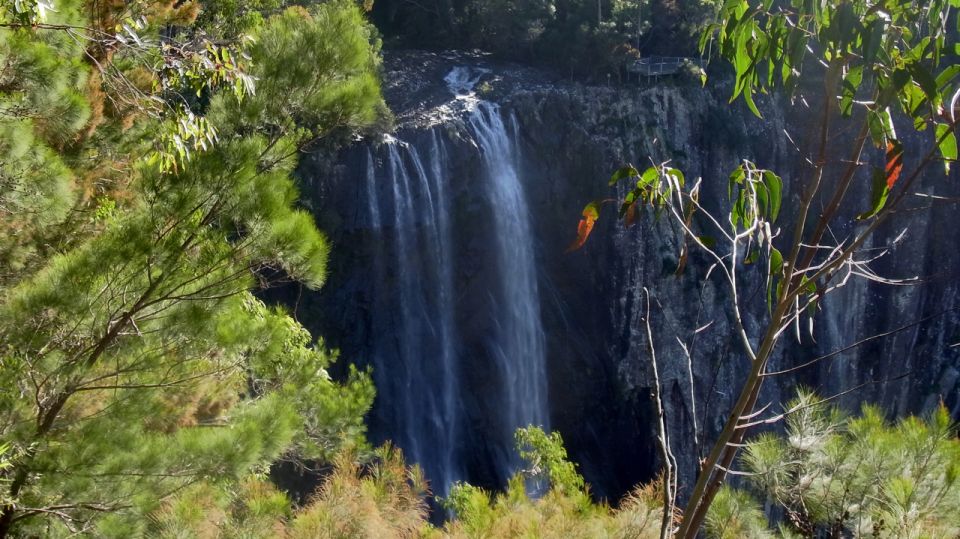 Byron Bay Hinterland: National Park and Waterfalls Tour - Pricing and Duration Details