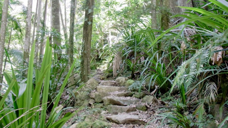 Byron Bay Hinterland: National Park and Waterfalls Tour - Meeting Point and What to Bring