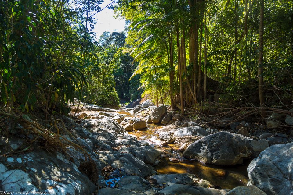 Byron Bay Hinterland: National Park and Waterfalls Tour - Additional Transportation and Information