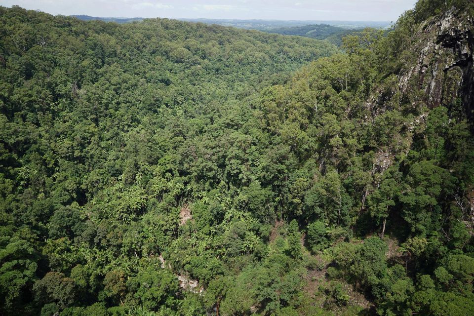 Byron Bay: Minyon Falls - Explore the Rainforest - Booking Information