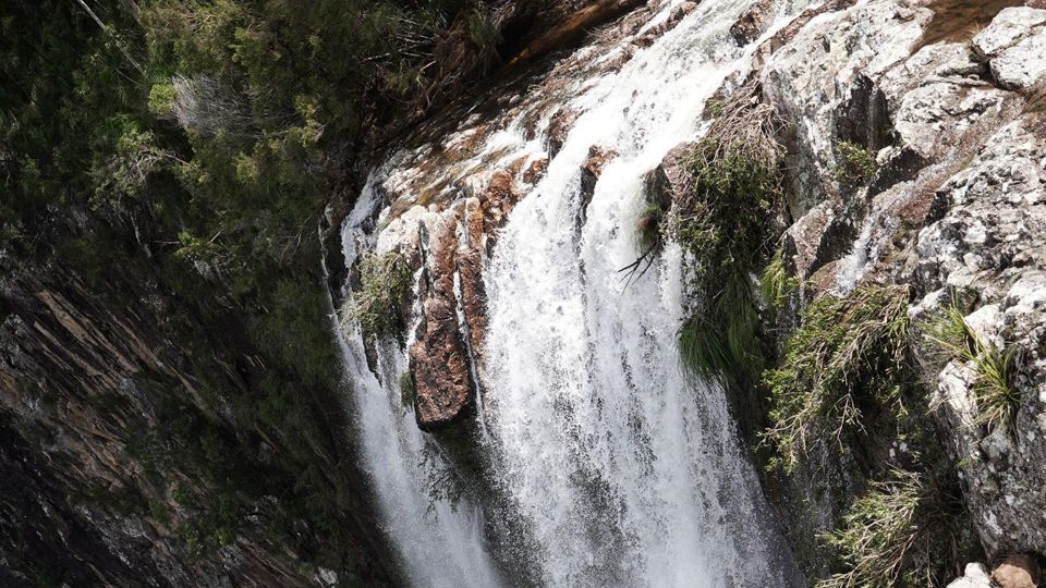 Byron Bay: Minyon Falls - Explore the Rainforest - Frequently Asked Questions