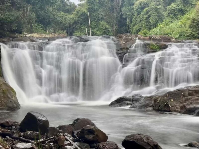 Byron Bay: Rainforest Waterfalls Guided Eco Tour - Who Should Consider This Tour?