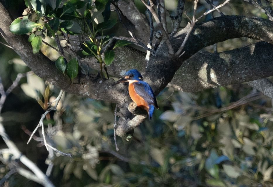 Byron Bay: Scenic Sunset River Cruise - Suitability and Meeting Point