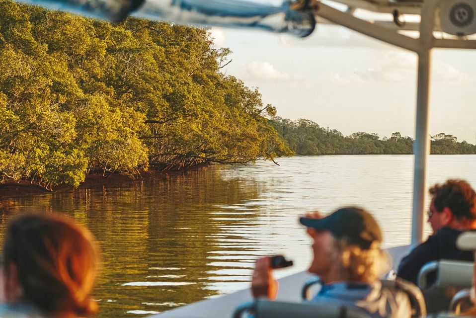 Byron Bay: Scenic Sunset River Cruise - Experience and Highlights