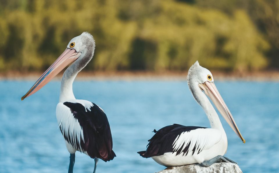 Byron Bay: Scenic Sunset River Cruise - Recap
