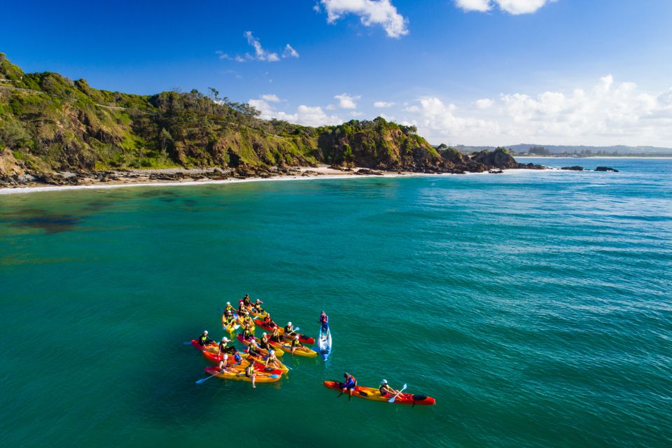 Byron Bay: Sea Kayak Tour With Dolphins and Turtles - Key Points