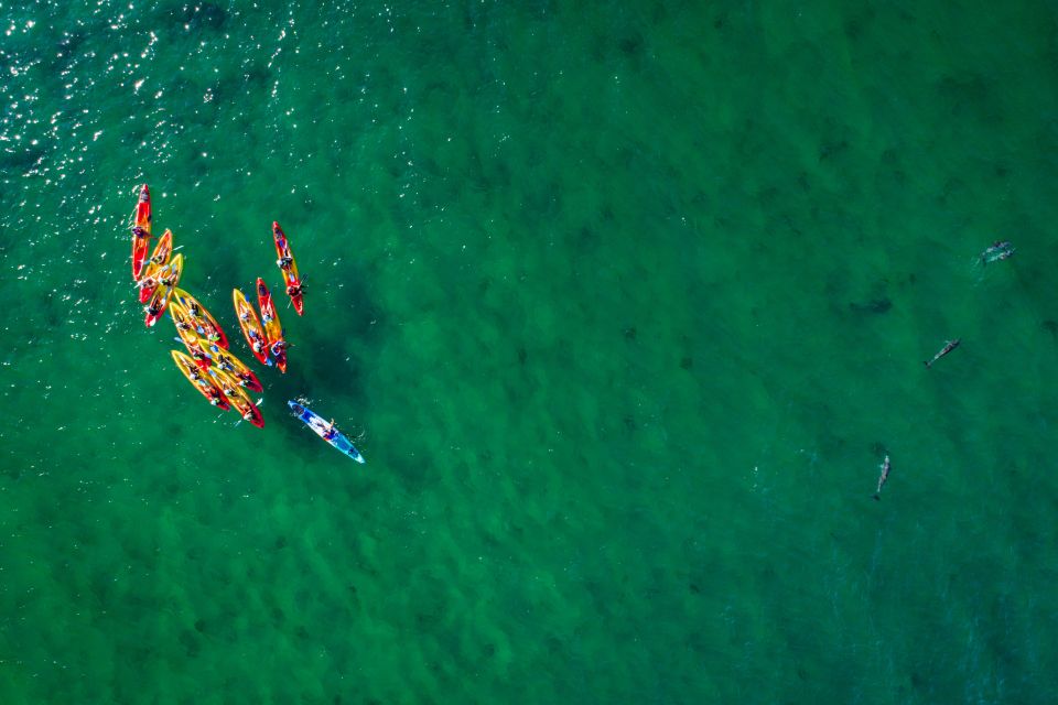Byron Bay: Sea Kayak Tour With Dolphins and Turtles - Meeting Point