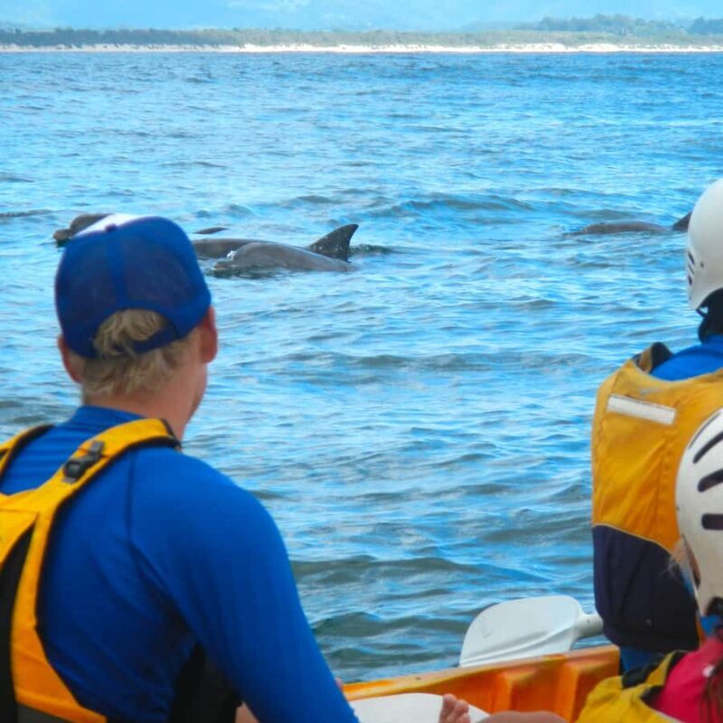 Byron Bay: The Byron Bay Sea Kayak Tour - FAQs