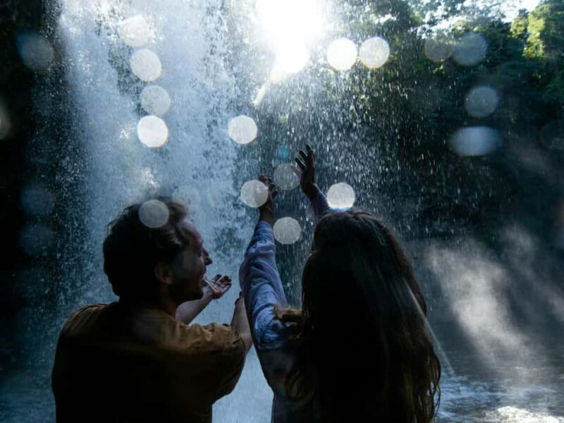 Byron Bay: Wildlife and Waterfall Tour with Breakfast - Key Points  