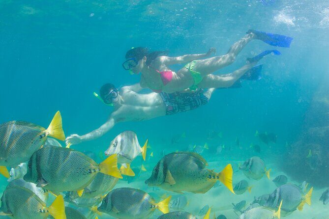 Cabo Arch Glass Bottom Boat: Hotel PICKUP, Arch & Lovers Beach - FAQ