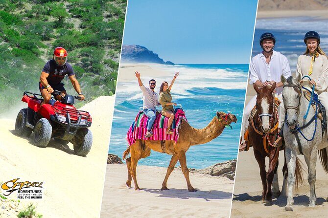 Cabo ATV Adventure with Camel and Horseback Ride - Key Points