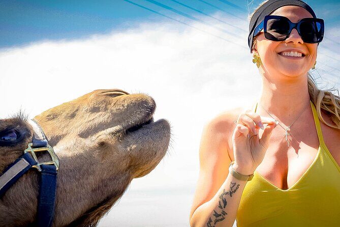 Cabo Beach Adventure Camel Ride and Sky Bike Experience - A Detailed Look at the Tour Itself