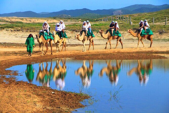 Cabo Camel and Safari Ride - Frequently Asked Questions