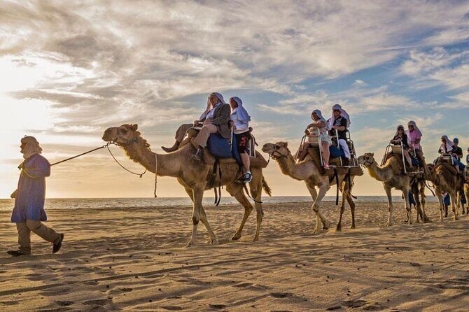 Cabo Camel Ride: Beach Safari, Tequila Tasting & Buffet - An In-Depth Look at the Cabo Camel Ride Tour