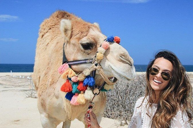 Cabo Camel Ride: Beach Safari, Tequila Tasting & Buffet - Frequently Asked Questions