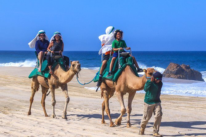 Cabo Camel Ride Experience - Key Points