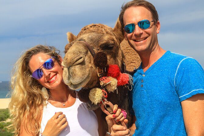 Cabo Camel Ride Experience - What to Expect from the Cabo Camel Ride Experience