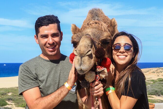 Cabo Camel Ride Experience - The Itinerary in Detail