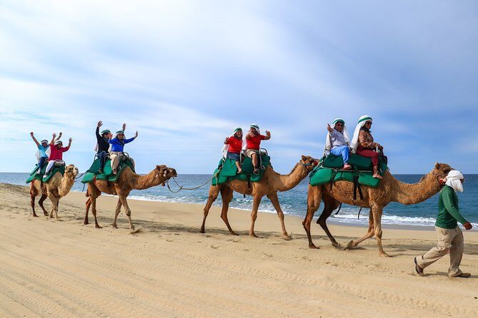 Cabo Camel Ride Experience - Who Should Consider This Tour?