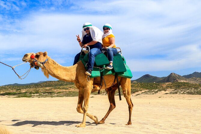 Cabo Camel Ride Experience - FAQ