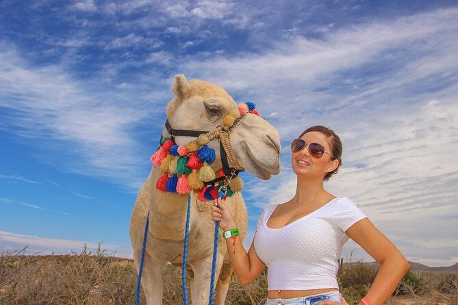 Cabo Camel Ride, Mexican Buffet and Tequila Tasting - Savoring Mexican Flavors with a View