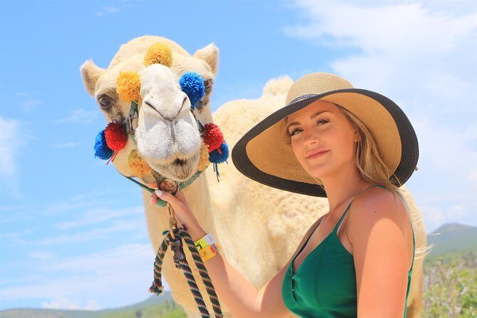 Cabo Camel Ride, Mexican Buffet and Tequila Tasting - Tequila Tasting: A Cultural Finish