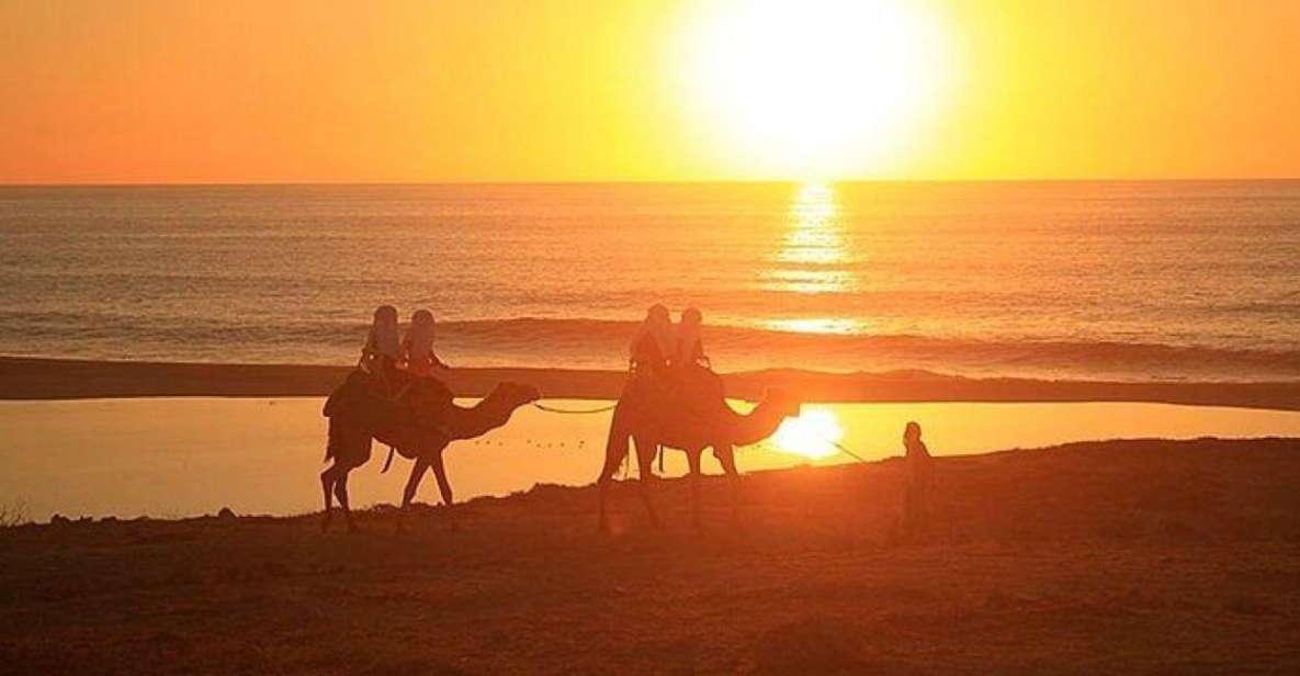 Cabo: Camel Ride On The Beach - Key Points