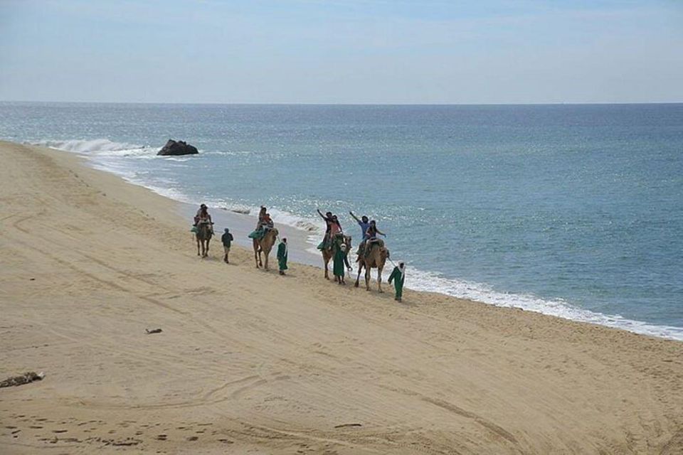Cabo: Camel Ride On The Beach - Scenic Ocean Views