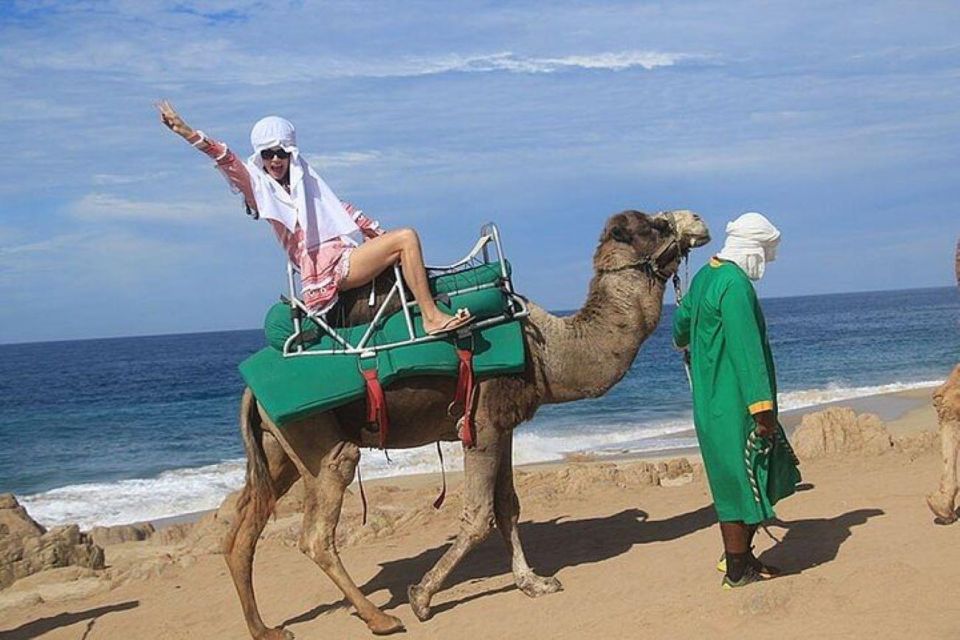 Cabo: Camel Ride On The Beach - Tequila Tasting Experience