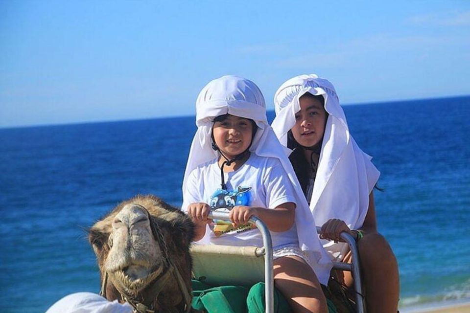 Cabo: Camel Ride On The Beach - Nature Hike Exploration