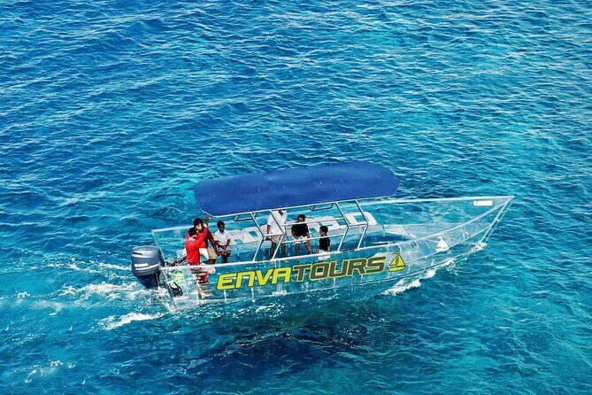 Cabo Clearboat to the Arch Tour Marine Life and Iconic Views - Why You Might Want to Take This Tour