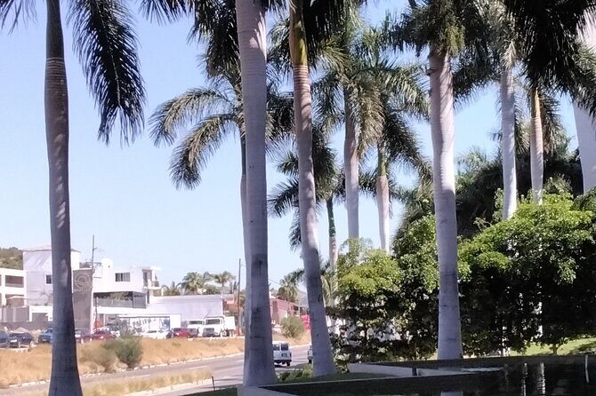 Cabo combo tour - Final Words